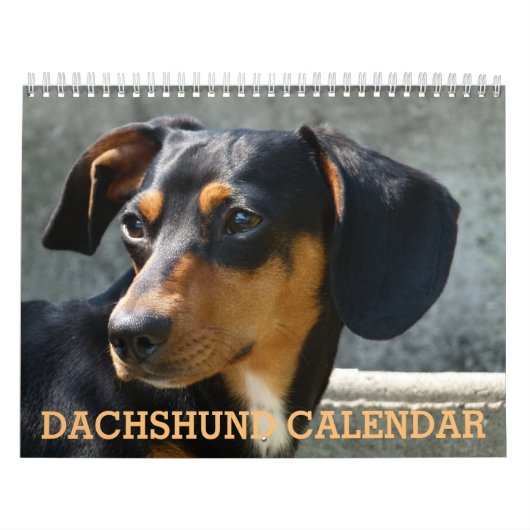 Dackel Foto-Kalender Kalender (Titelbild)