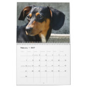 Dackel Foto-Kalender Kalender (Feb 2027)