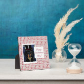 DACKEL FOTOPLATTE (InSitu)