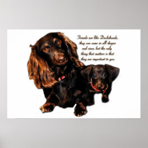 Dackel-Freundschaft Poster