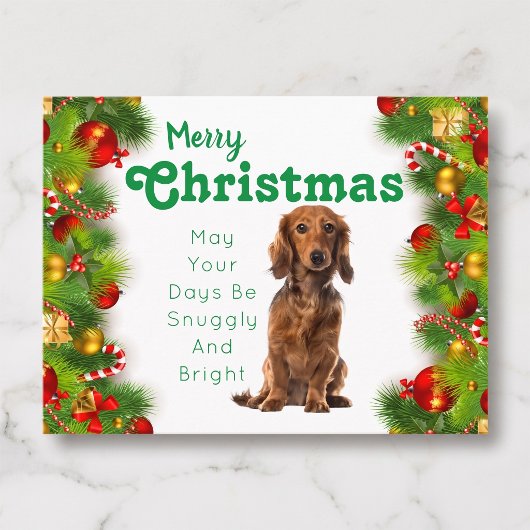 Dackel Frohe Weihnachtskarte Feiertagspostkarte