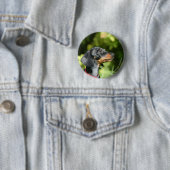 Dackel für Schwarz und Tan Miniture 3 Button (Beispiel)