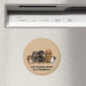 Dackel Gang Magnet (In Situ (Geschirrspüler))