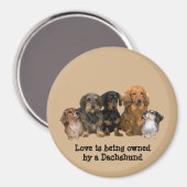 Dackel Gang Magnet (Vorderseite/Rückseite)