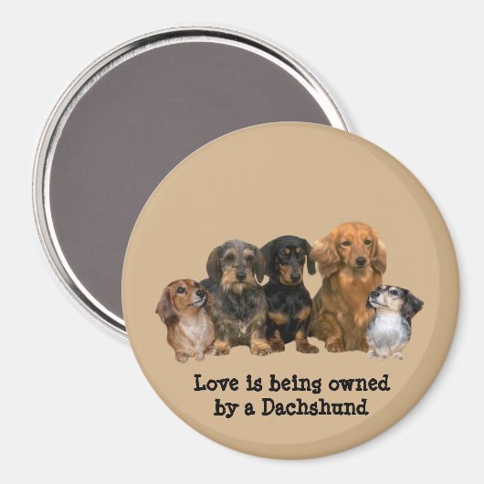 Dackel Gang Magnet (Vorderseite/Rückseite)