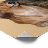 Dackel Gang Print Poster (Ecke)