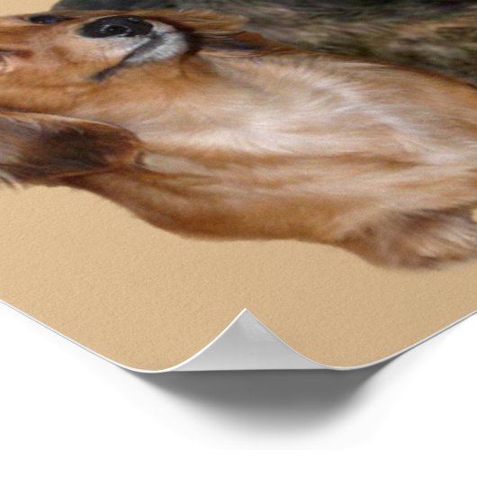 Dackel Gang Print Poster (Ecke)