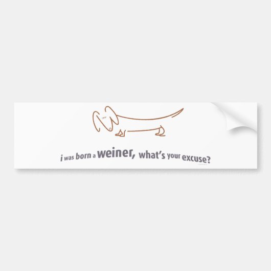 Dackel. Geborener Weiner! Autoaufkleber (Vorne)