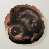 Dackel gebürstetes rundes Throw-Polykissen (16") Kissen (Vorderseite)