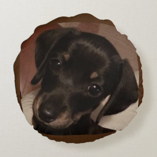Dackel gebürstetes rundes Throw-Polykissen (16") Kissen