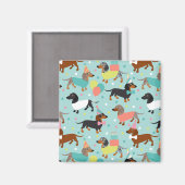 Dackel Geburtstagsfeier Magnet (Vorderseite/Rückseite)