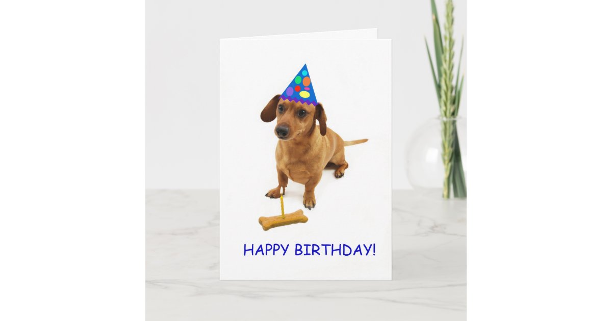 Dackel Geburtstagskarte Nach Fokus F r Eine Sache Karte Zazzle de dackel-geburtstagskarte-nach-fokus-f-r-eine-sache-karte-zazzle-de