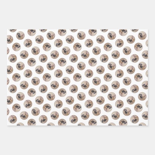 Dackel Gemälde sanfte Schwarz & Tan Roter Hund Kun Geschenkpapier Set (Vorderseite 2)