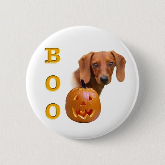 Dackel (glatt) button (Vorderseite)