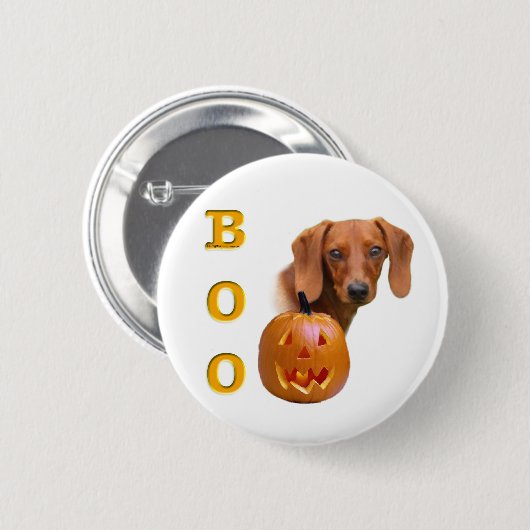 Dackel (glatt) button (Vorne & Hinten)