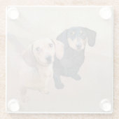 Dackel (glatt) Gemälde - Originale Hundekunst Glasuntersetzer (Rückseite)
