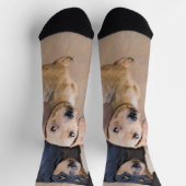 Dackel (glatt) Gemälde - Originale Hundekunst Socken (Oben)