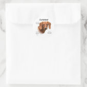 Dackel (glatt) Historiendesign Runder Aufkleber (Tasche)