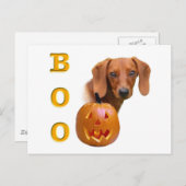 Dackel (glatt) postkarte (Vorne/Hinten)