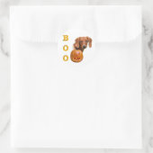 Dackel (glatt) runder aufkleber (Tasche)