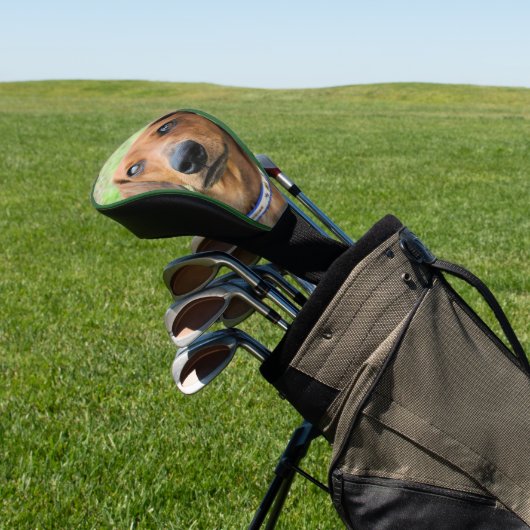 Dackel Golf Headcover (In SItu)