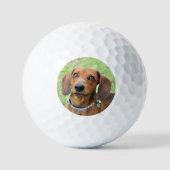 Dackel Golfball (Vorderseite)