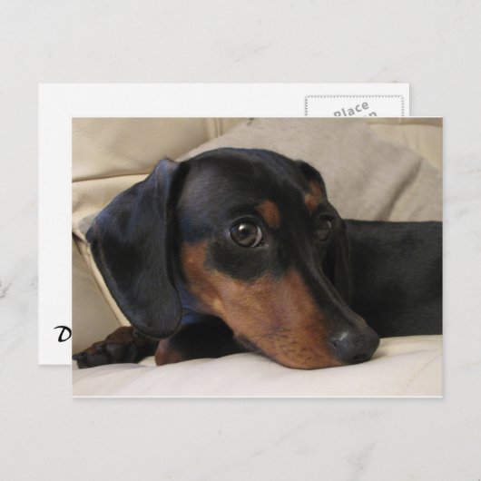 Dackel graben postkarte (Vorne/Hinten)