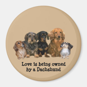 Dackel-Gruppen-Magnet Magnet