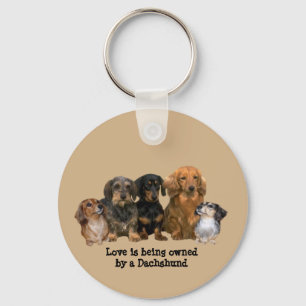 Dackel-Gruppen-Schlüsselanhänger Schlüsselanhänger