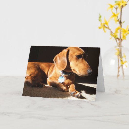 Dackel Haustier Karte (Gelbe Blume)