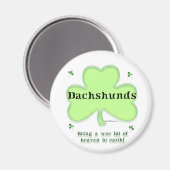 Dackel Heaven; St. Patrick's Day Dackel Magnet (Vorderseite/Rückseite)