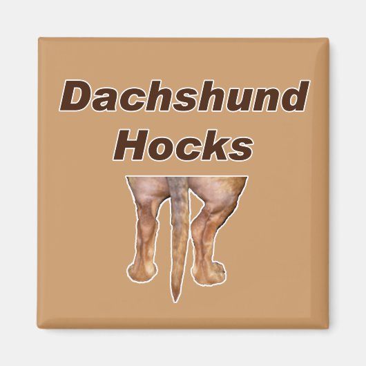 Dackel Hocks Magnet (Vorne)