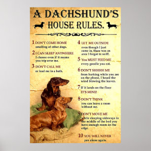 Dackel House Rules Poster Geschenk für Männer Frau