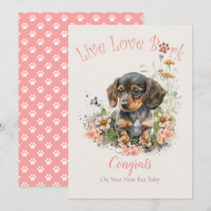 Dackel Hund Adoption, Gotcha Tag Karte