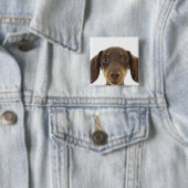 Dackel Hund (braun) 2 Button (Beispiel)