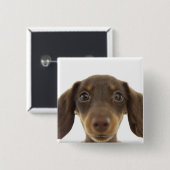 Dackel Hund (braun) 2 Button (Vorne & Hinten)