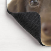 Dackel Hund (braun) 2 Mousepad (Ecke)