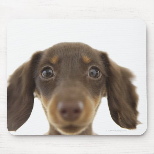 Dackel Hund (braun) 2 Mousepad (Vorne)