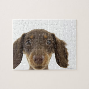 Dackel Hund (braun) 2 Puzzle