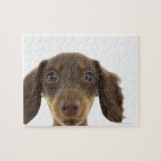 Dackel Hund (braun) 2 Puzzle (Horizontal)