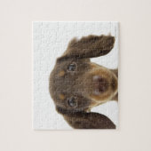 Dackel Hund (braun) 2 Puzzle (Vertikal)