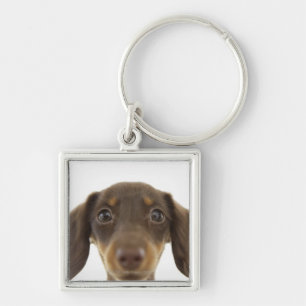 Dackel-Hund (Braun) 2 Schlüsselanhänger