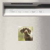 Dackel Hund (braun) Magnet (In Situ (Geschirrspüler))