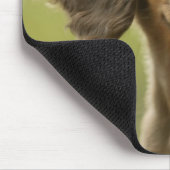 Dackel Hund (braun) Mousepad (Ecke)