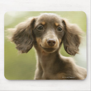 Dackel-Hund (Braun) Mousepad