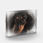 Dackel Hund. Fotoblock (Links)