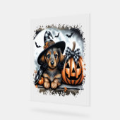 Dackel Hund Halloween Acrylschild (Winkel)