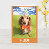Dackel Hund HBD Karte (Gelbe Blume)