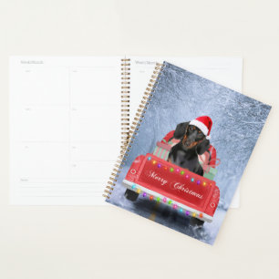 Dackel Hund im Schnee sitzen im Weihnachtswagen Planer