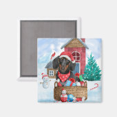 Dackel Hund im Schnee Weihnachtshundehaus Magnet (Vorderseite/Rückseite)